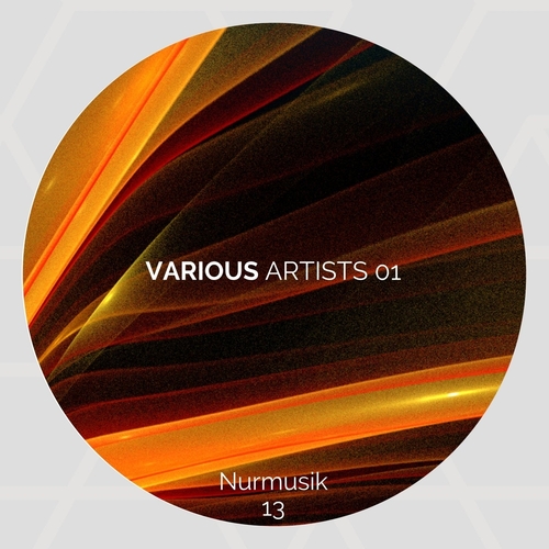 VA - Various Artists 01 [NURMUSIK0013]